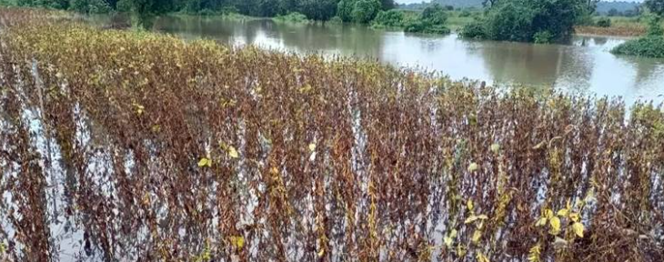Natural Disaster Recovery for Farmers